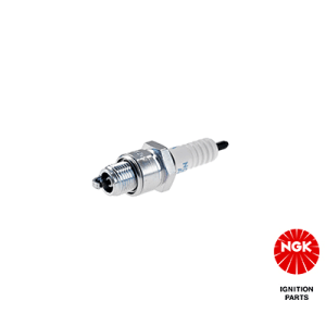 Süüteküünal - NGK 5539
